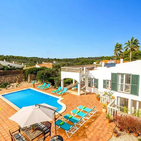Palmeras By
